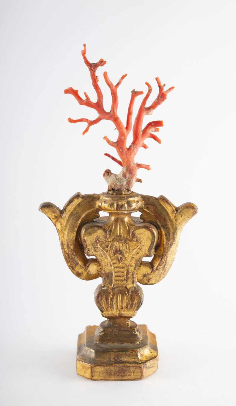 Treasures of the Sea: Large Mounted Mediterranean Coral on an Antique Gilt Base