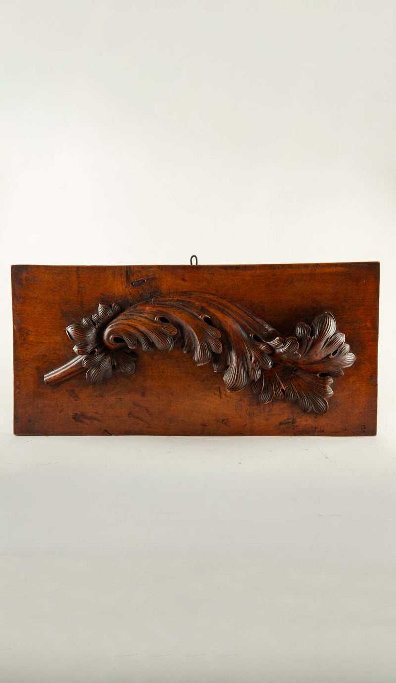 Acanthus in Relief: A 19th-Century Architectural Carving
