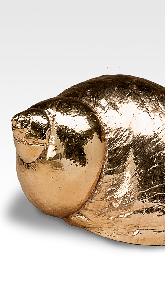 Gilded Burgus Andreina Shell