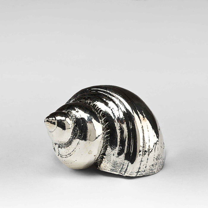 Silvered Burgus Lineate Shell