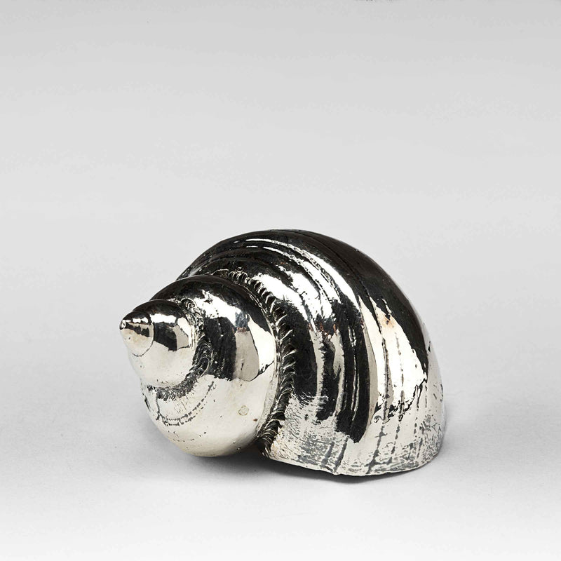 Silvered Burgus Lineate Shell