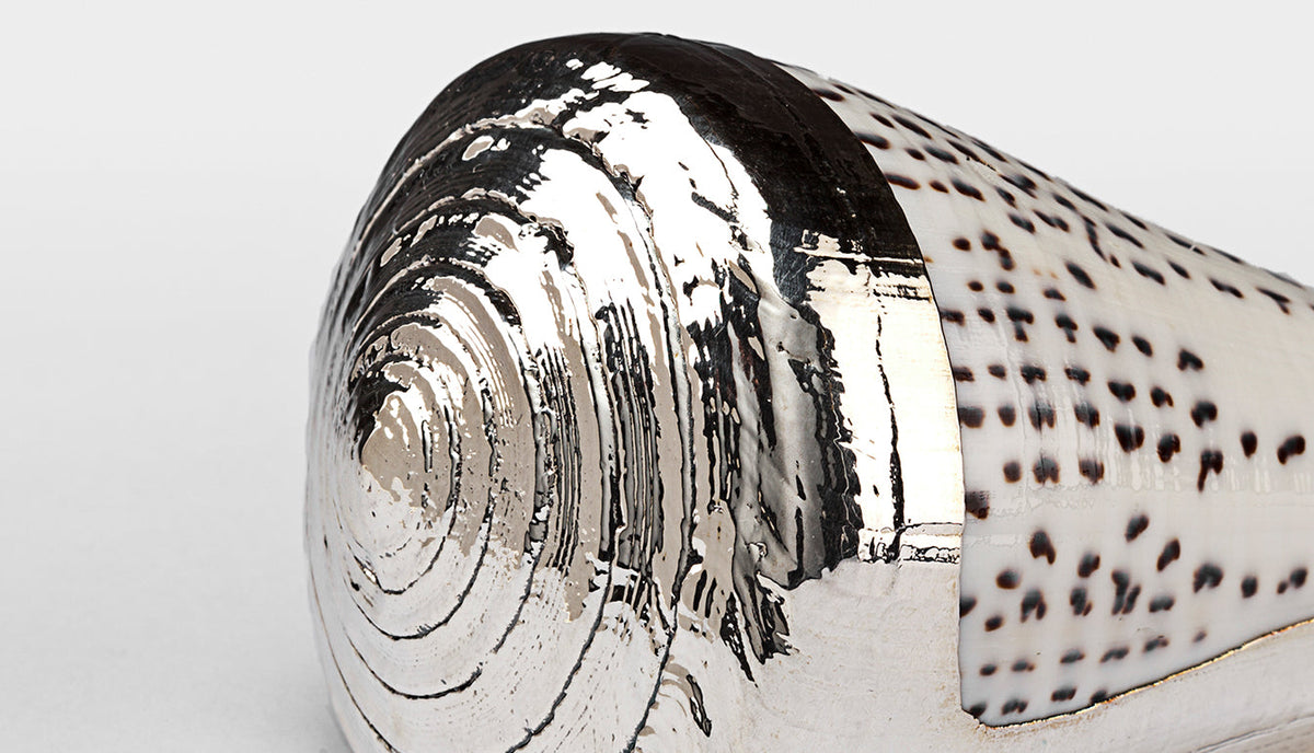Partially Silvered Conus Leopard Shell
