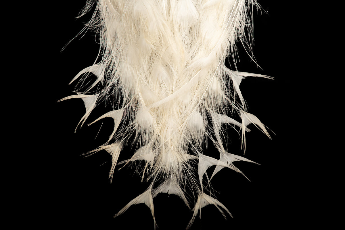 Exquisite Albino Peacock Taxidermy: A Majestic Display of Rarity and Elegance