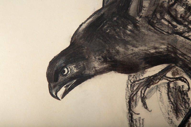 Raven in Motion: A 20th C. Charcoal Study Signed R. Bigot