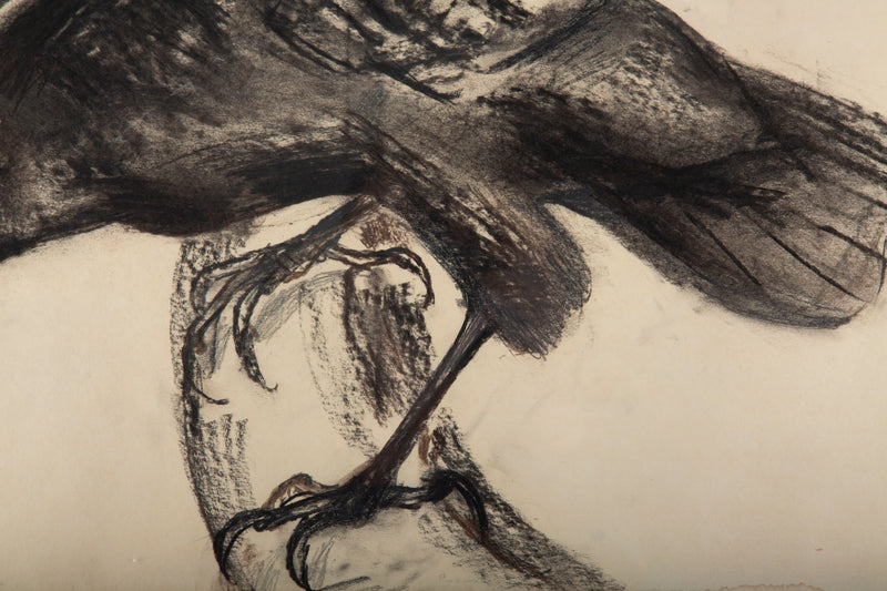Raven in Motion: A 20th C. Charcoal Study Signed R. Bigot