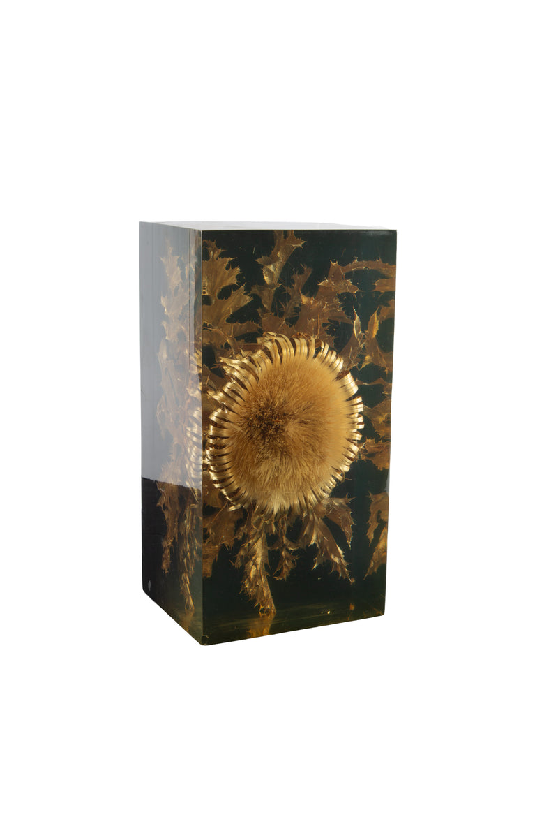 The Preserved Bloom: Mid C Thistle & Leaves in Lucite by Pierre Giraudon