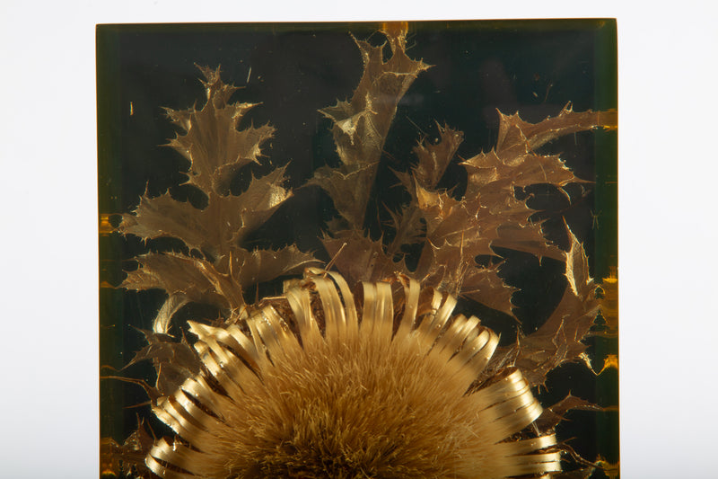 The Preserved Bloom: Mid C Thistle & Leaves in Lucite by Pierre Giraudon
