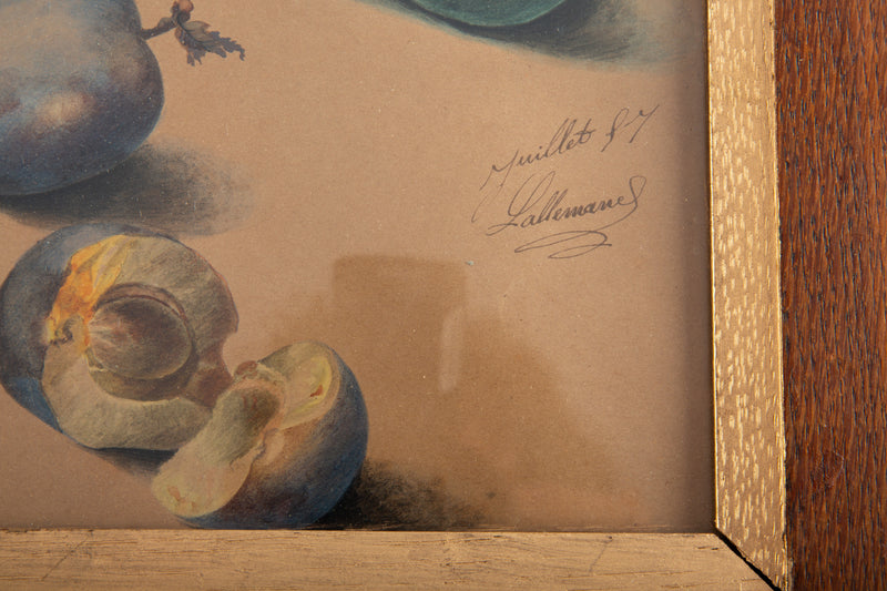 Still Life of Figs and Plums by Adèle Hippolyte Lallemand
