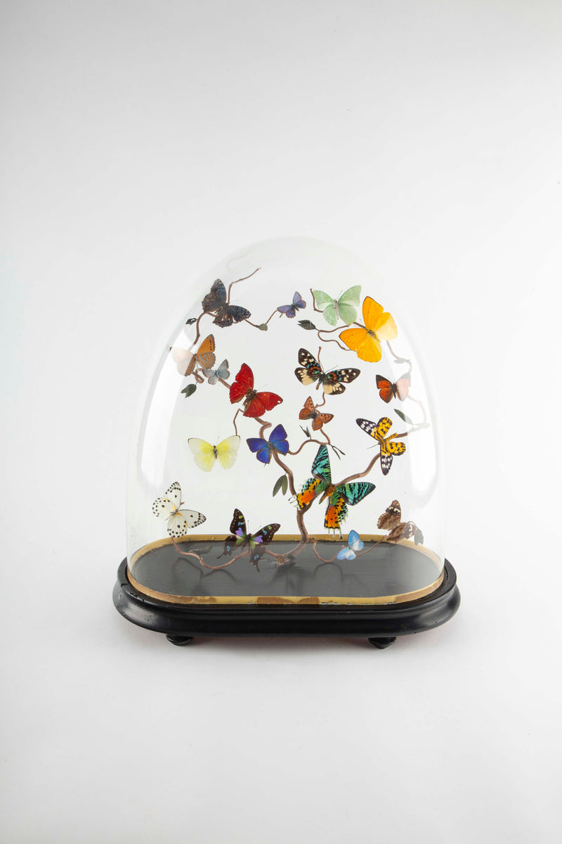 Le Printemps by Hasharat
