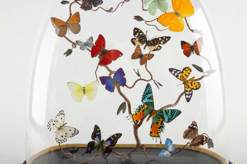 Le Printemps by Hasharat