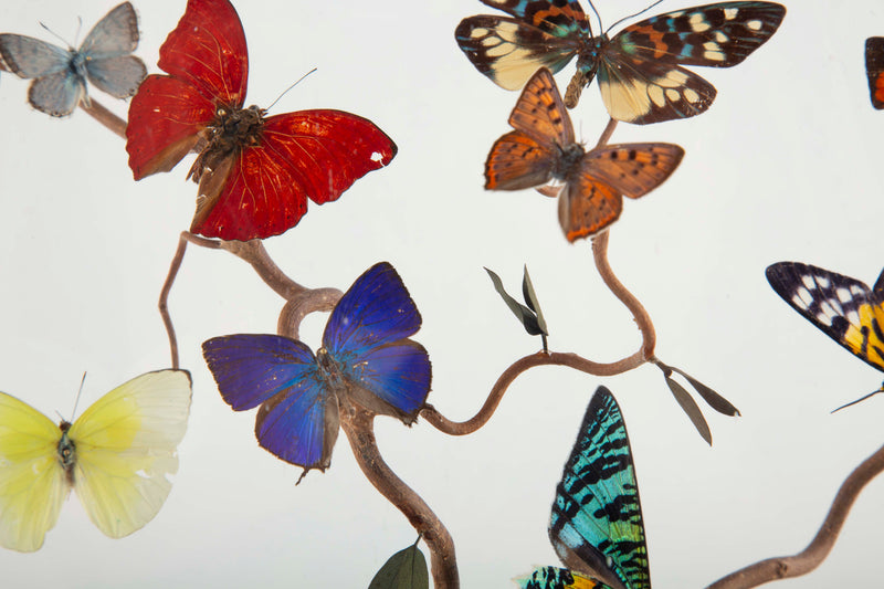 Le Printemps by Hasharat