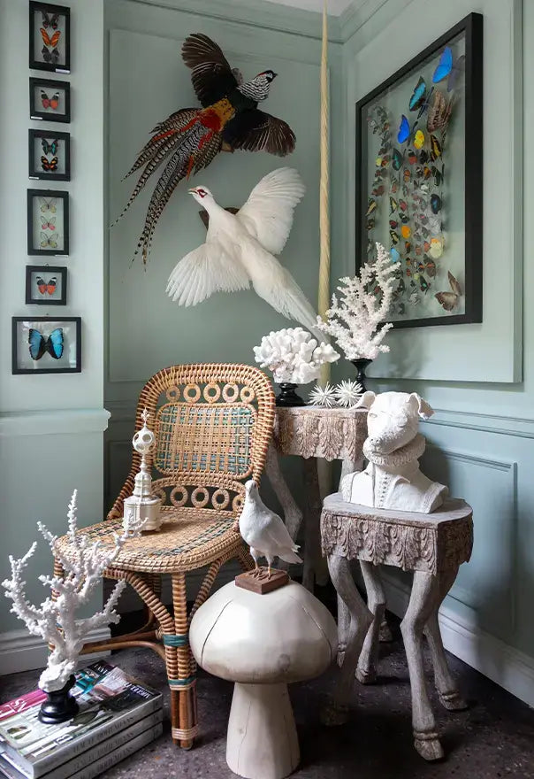 Decor