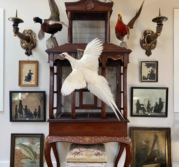 gallery-image-1