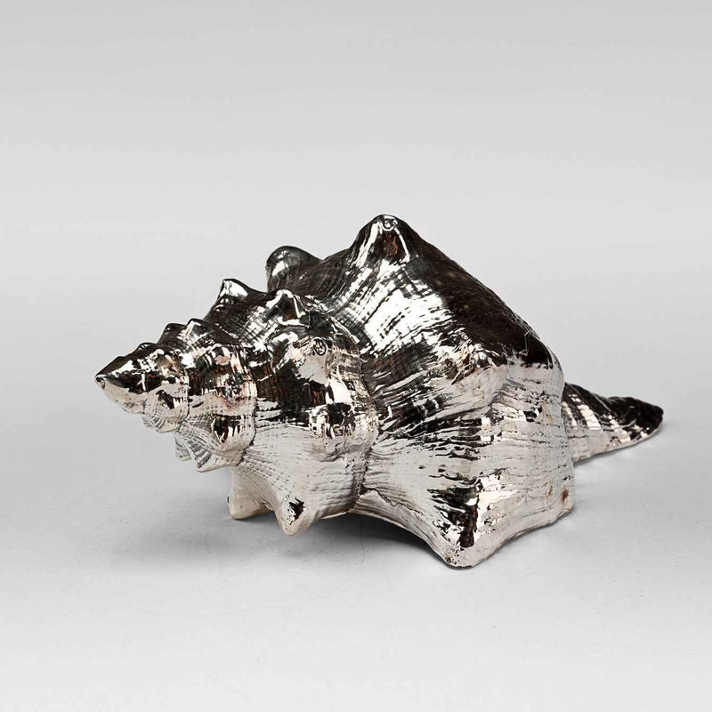 Silvered Fasciolaria Shell
