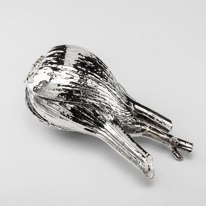 Silver Fennel