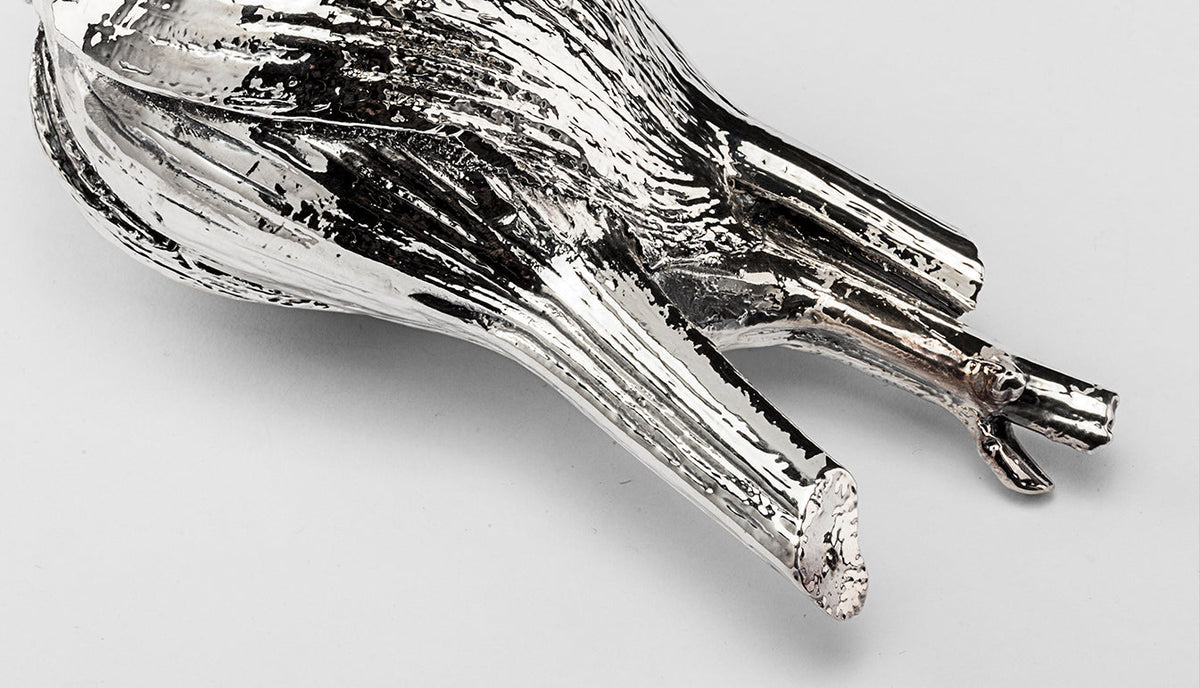 Silver Fennel