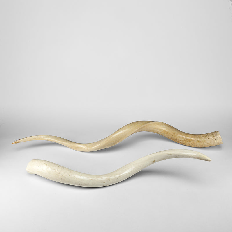 Kudu Horn