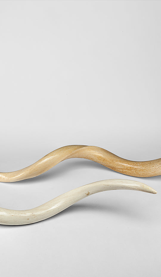 Kudu Horn