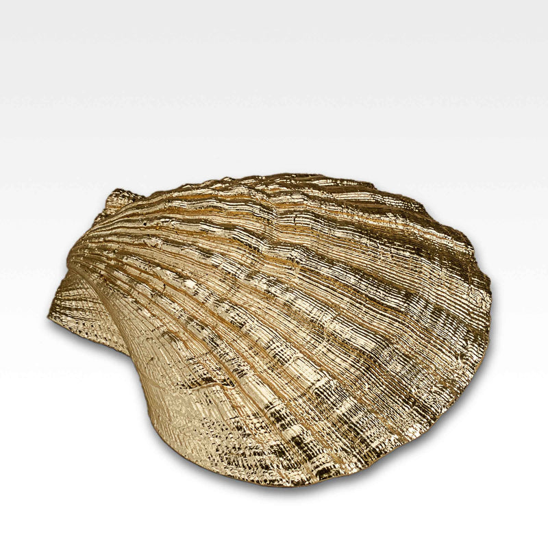 Gilded Pecten Shell