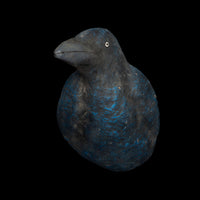 Raven