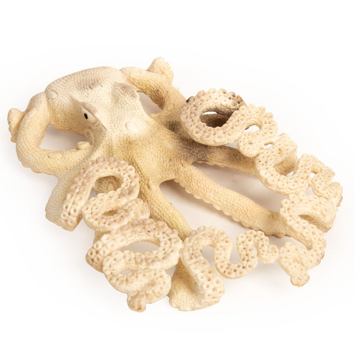 Moose Antler Octopus – Eight Arms of Awesome