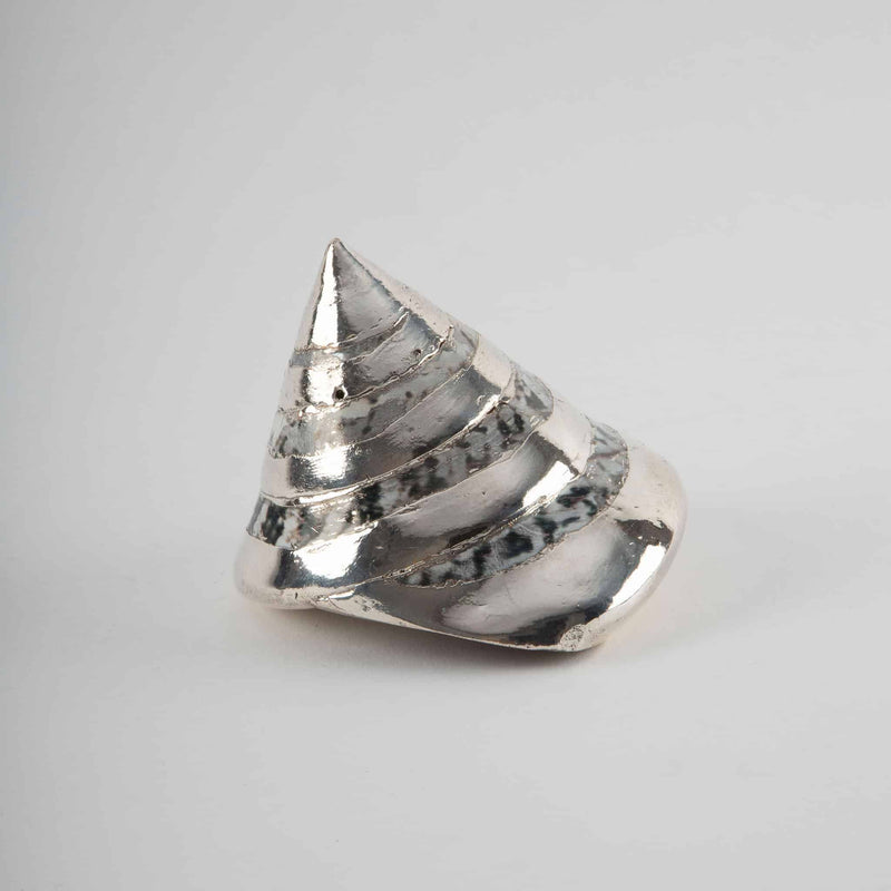 Partially Silvered Trochus Turbo, 3.5"