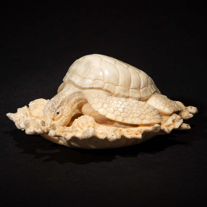 Hand Carved Moose Antler Turtle on a Bed of Coral, 3.25"