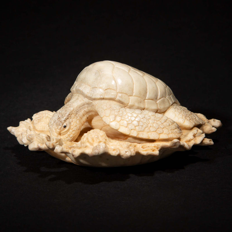 Hand Carved Moose Antler Turtle on a Bed of Coral, 3.25"
