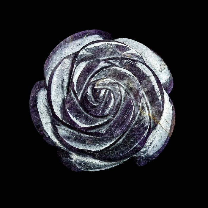 Amethyst Camellia