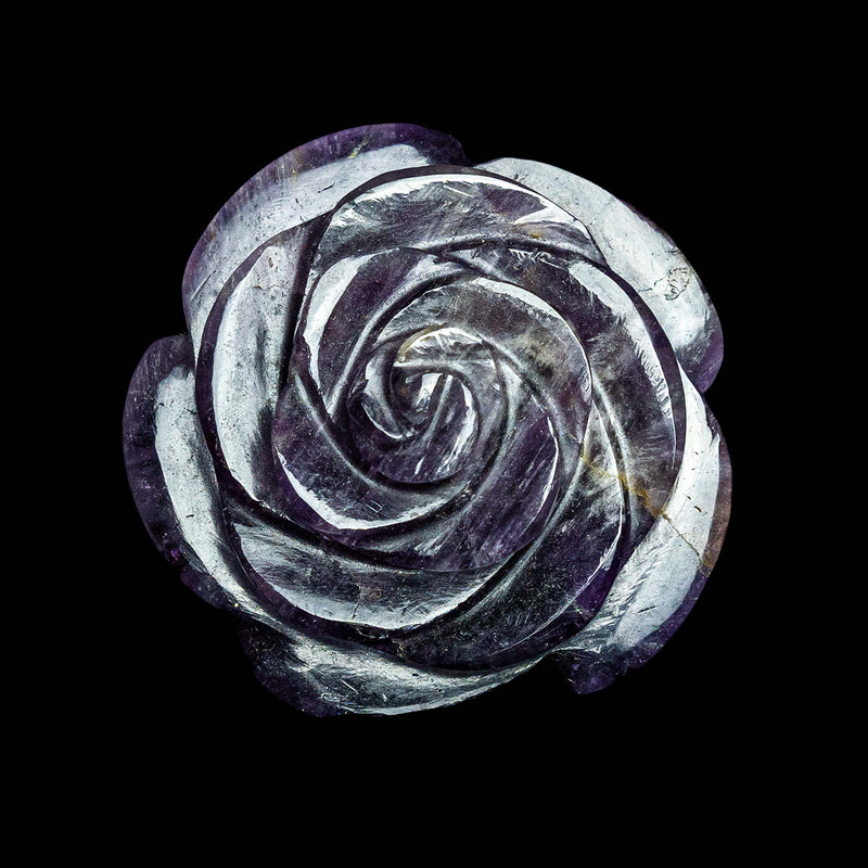 Amethyst Camellia