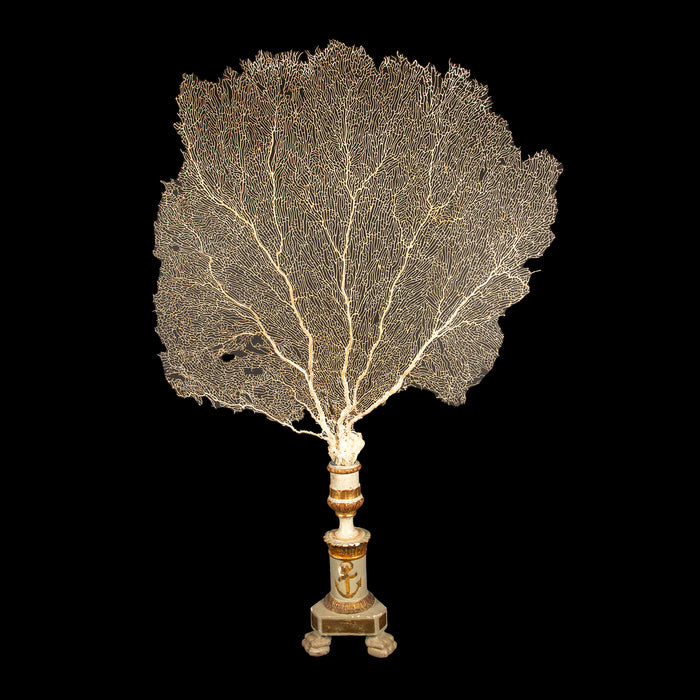 Imposing 19th-Century Gilt Sailor's Pricket with Mounted Natural Sea Fan- 62"H