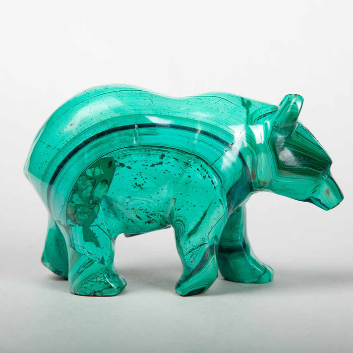 Malachite Bear