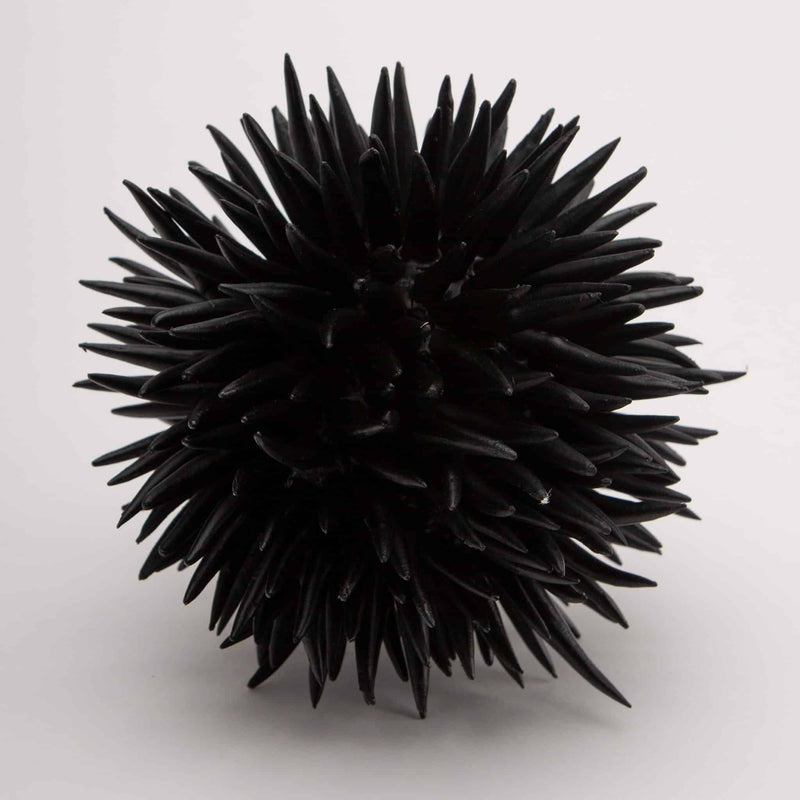 Diadema Black Resin Urchin 6"