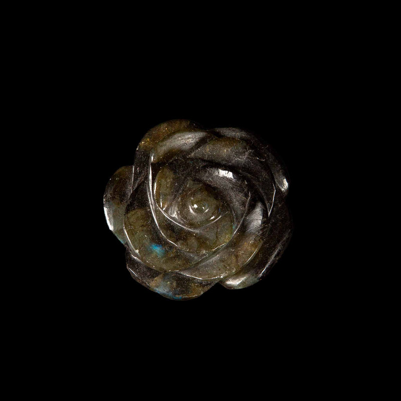 Labradorite Camellia