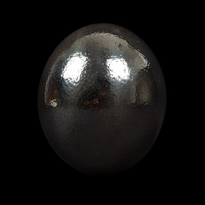 Fully Silvered Ostrich Egg