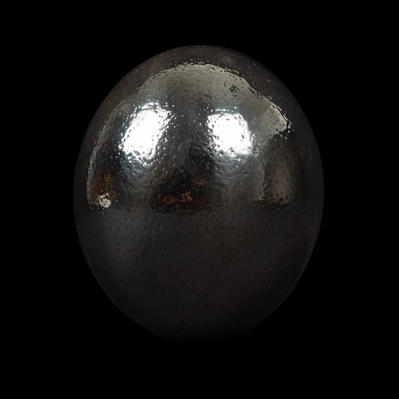 Fully Silvered Ostrich Egg