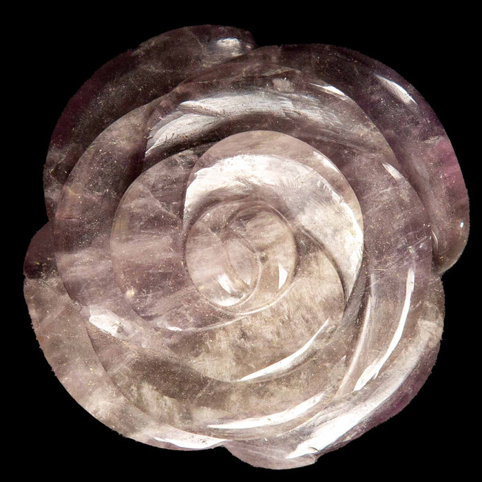Amethyst Camellia
