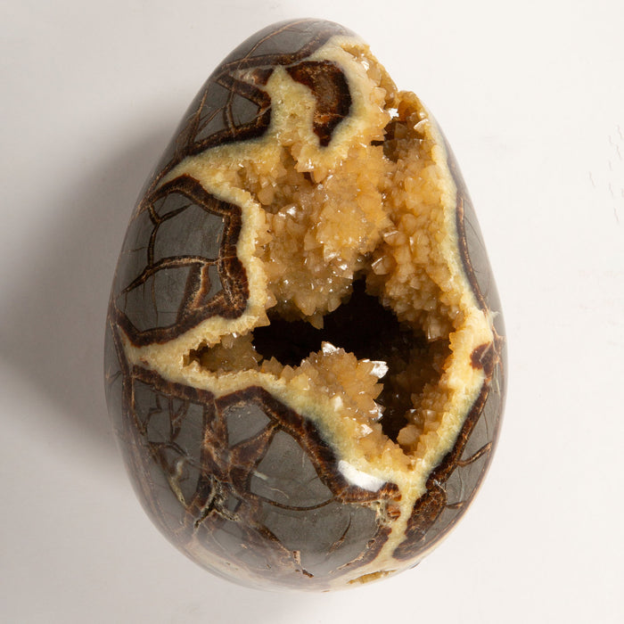 Septarian Dragon Egg: Nature’s Crystal Treasure