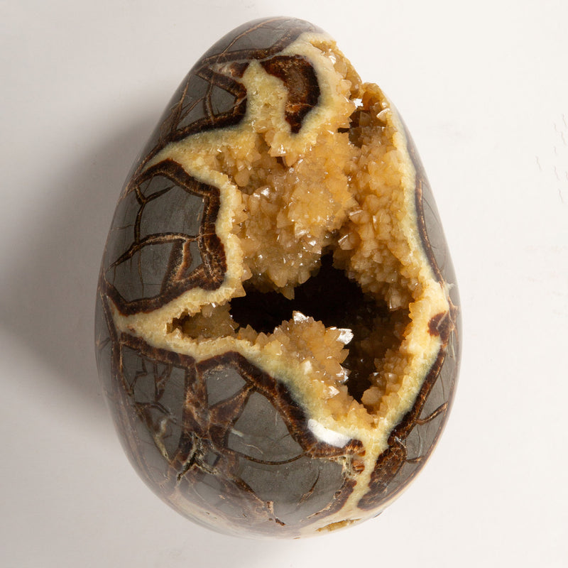 Septarian Dragon Egg: Nature’s Crystal Treasure
