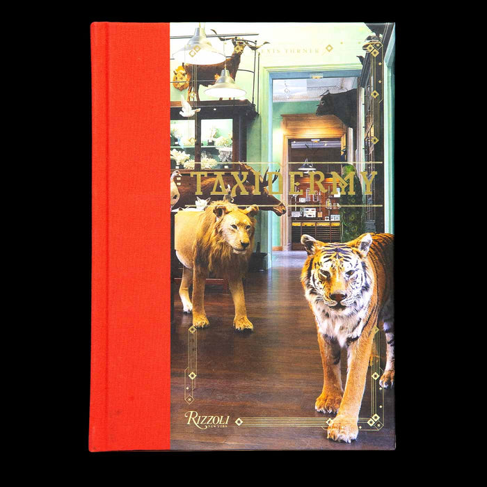 Alexis Turner: Taxidermy (Hardcover)