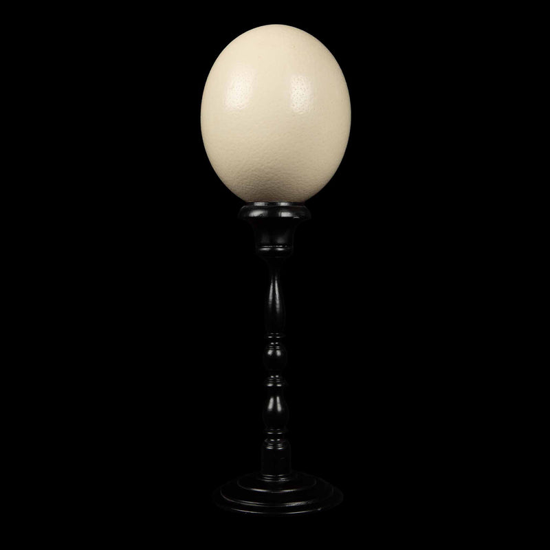 Mounted Ostrich Egg Tall, 15.5" H