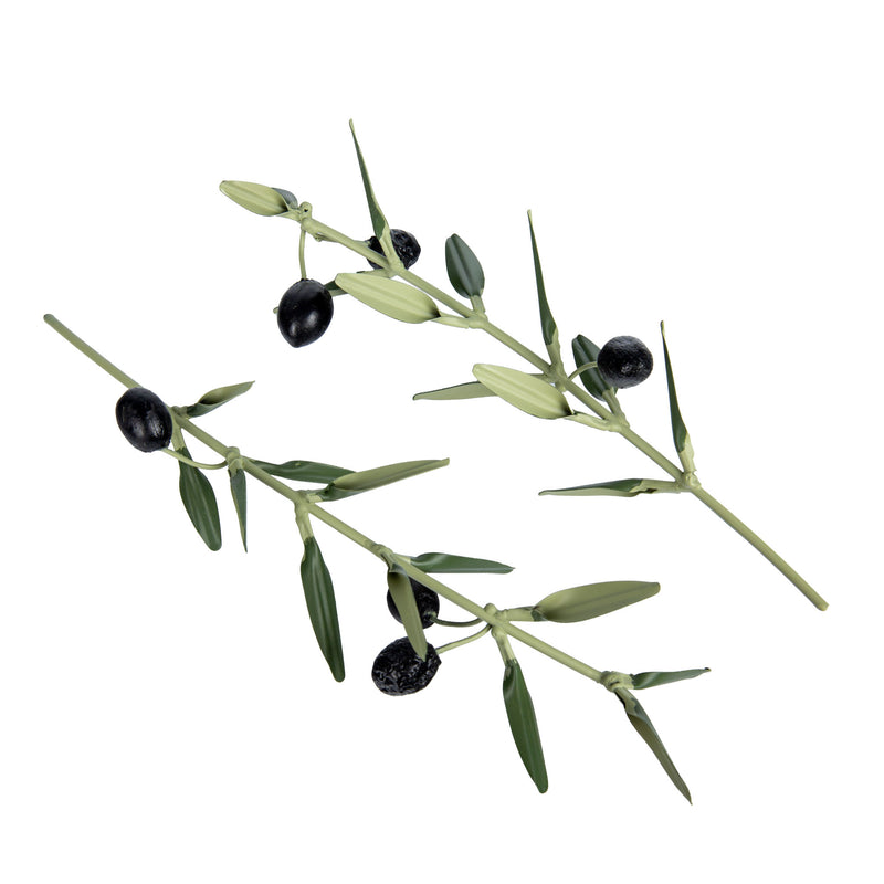 Olive Branch