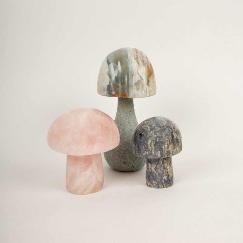 Mineral Mushroom Trio