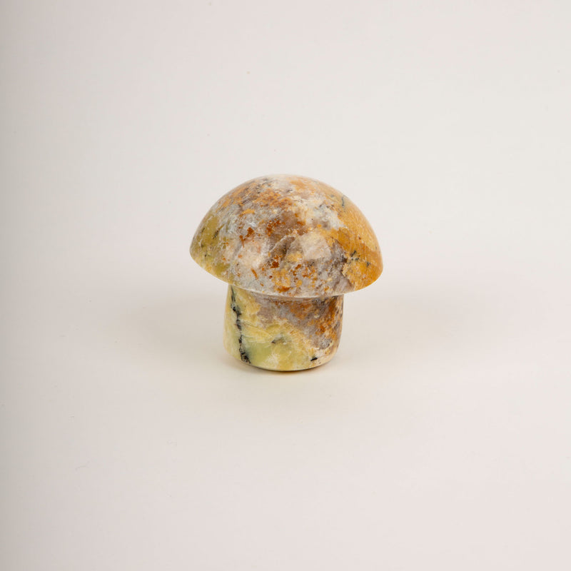 Yellow Jasper Mushroom