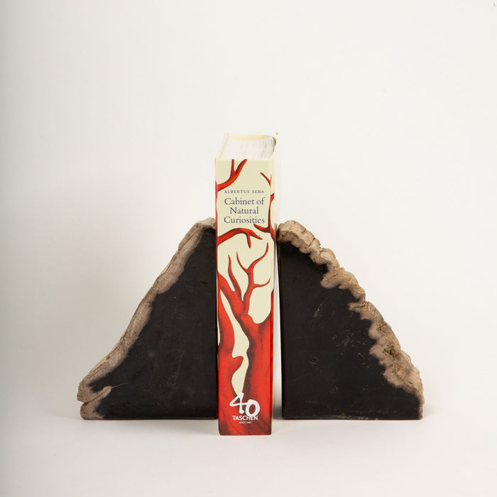 Petrified Wood Book Ends