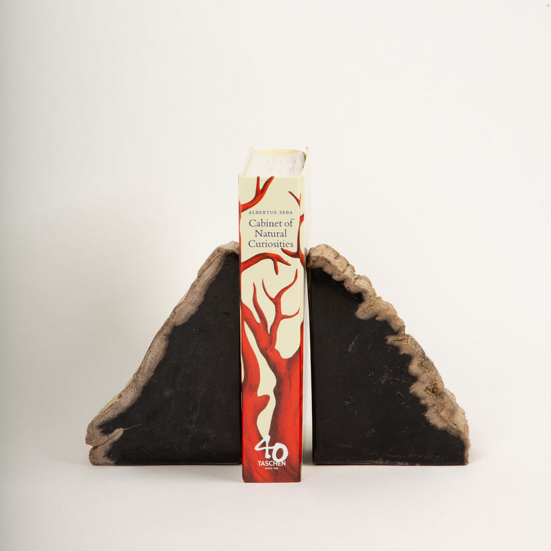 Petrified Wood Book Ends