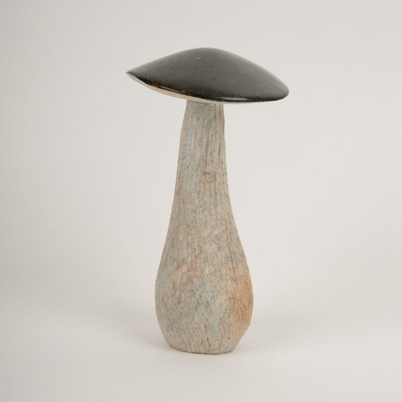 Soap Stone Mushroom