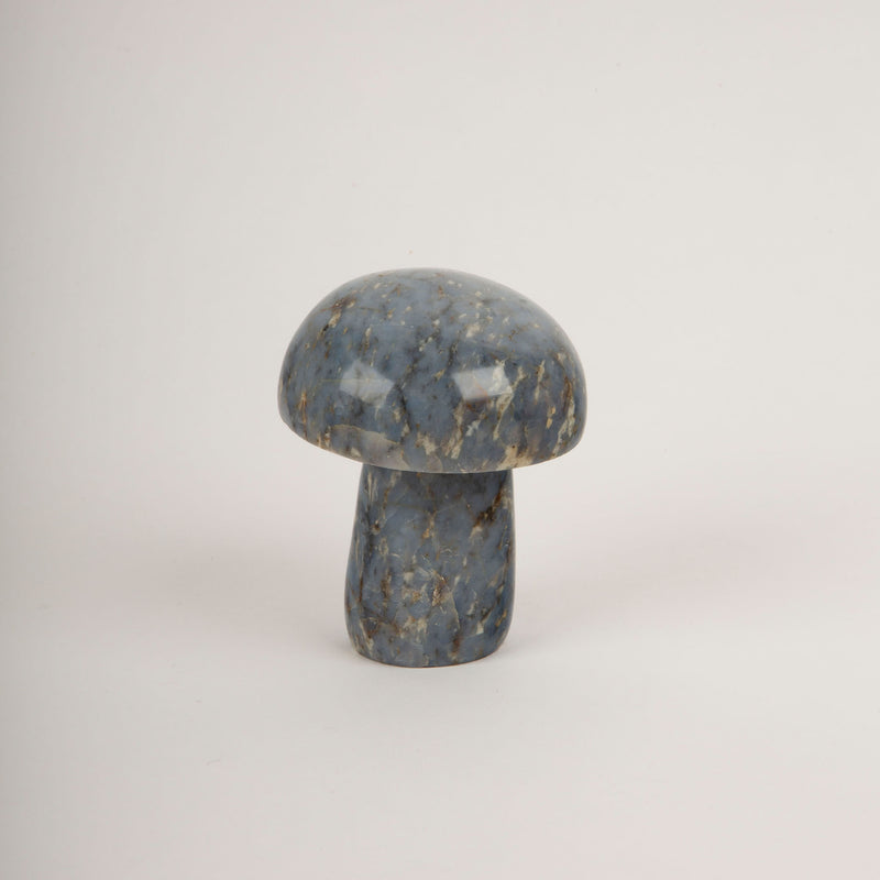 Blue Calcite Mushroom