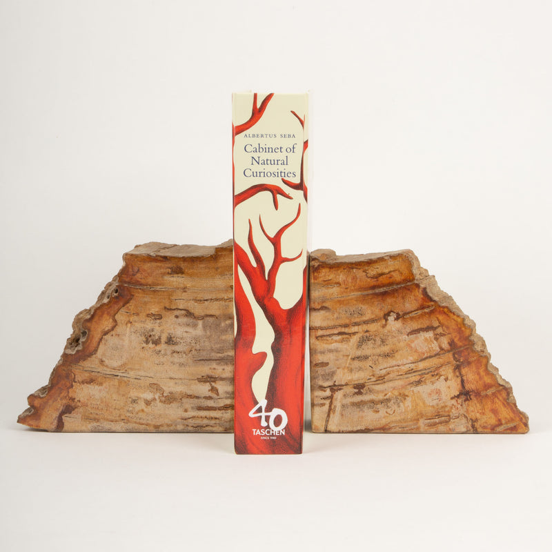 Petrified Wood Book Ends