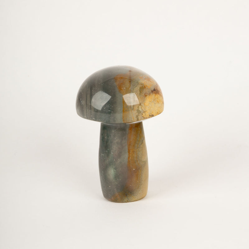Polychrome Jasper Mushroom